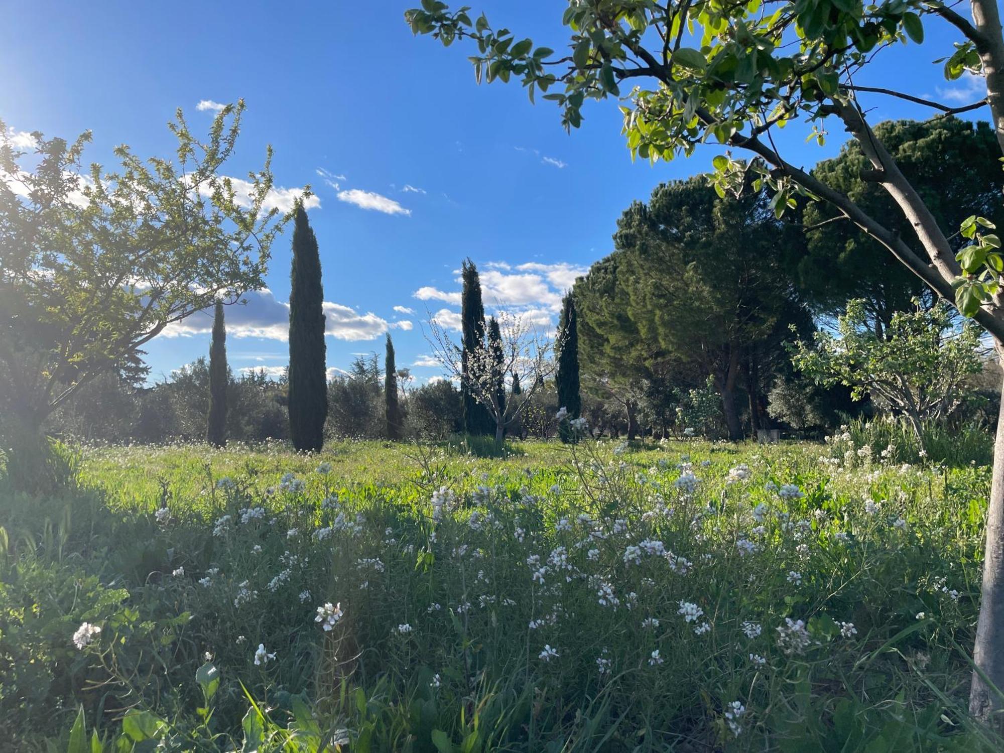 Hotel Et Domaine Des Clos - Teritoria